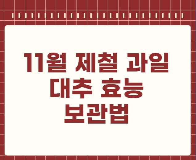 11월 제철 과일 대추 효능 보관법