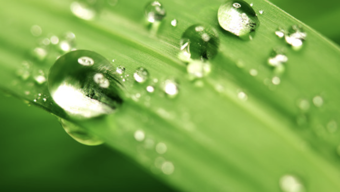 한로 뜻 의미 유래 풍습