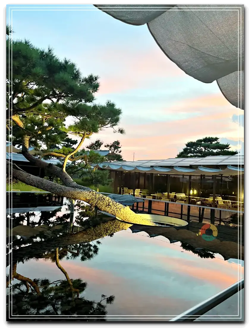 엔드투앤드_노을2-서서히붉어지는하늘-소나무-물에-비친-노을그림자-소나무그림자