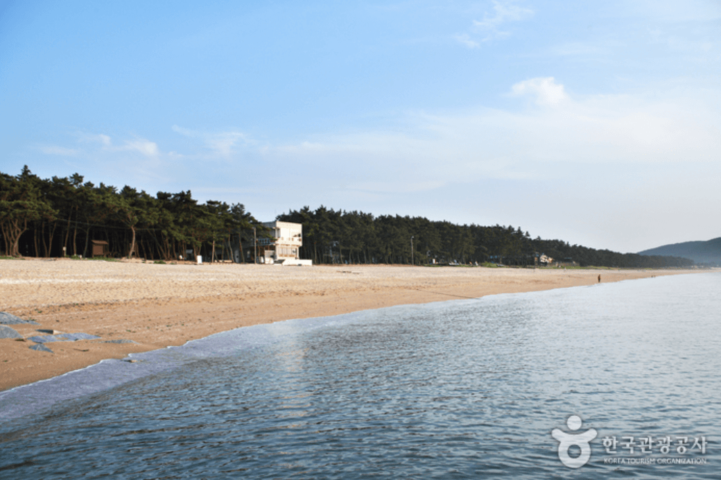 고사포해수욕장 (부안군)