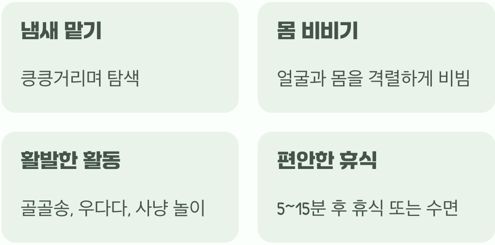 행복감부터 스트레스 해소까지