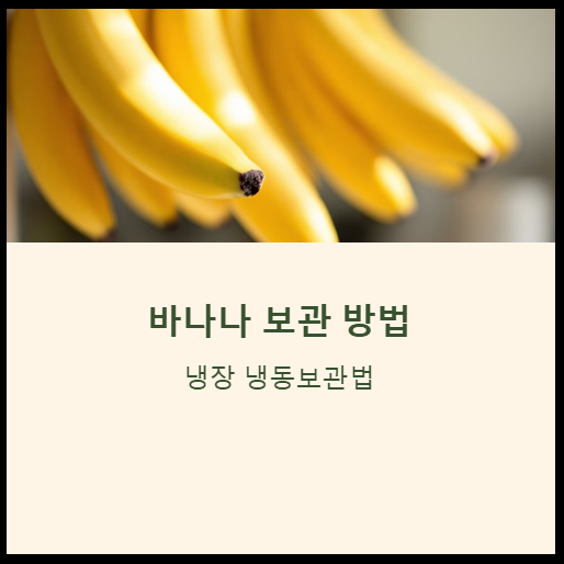 바나나-보관-방법