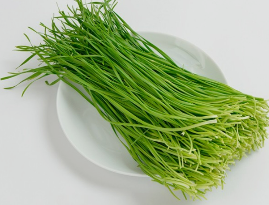 3월에 먹으면 좋은 제철 음식(봄철 음식) - 부추편 (효능&amp;#44; 부추가 들어가는 음식)