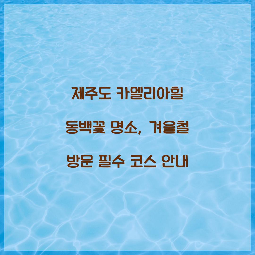 제주도 카멜리아힐 동백꽃 명소