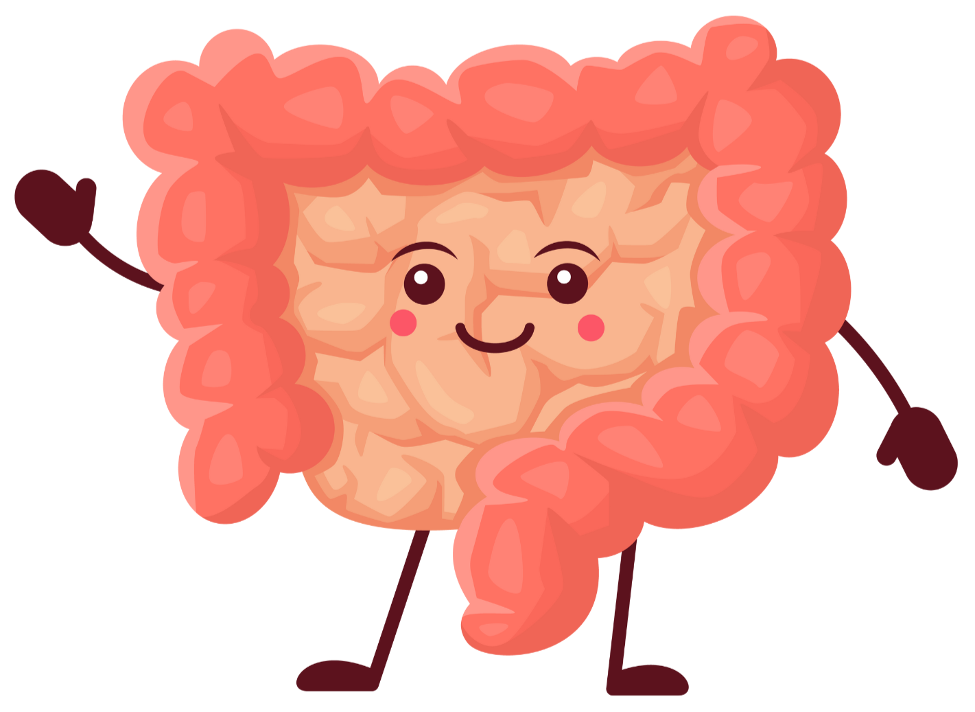 PHGG 식욕 조절 및 배변 리듬 개선