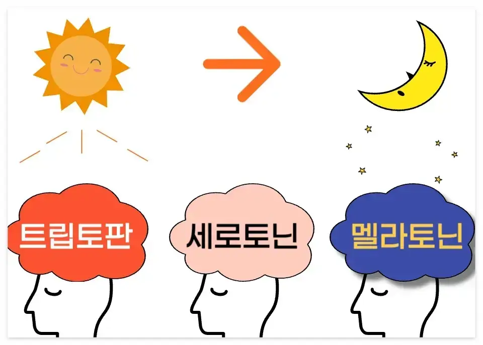 멜라토닌