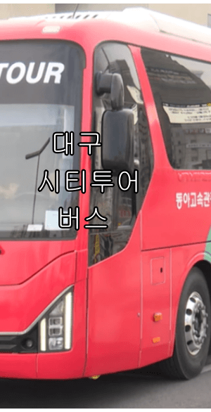 대구 시티투어버스 에약