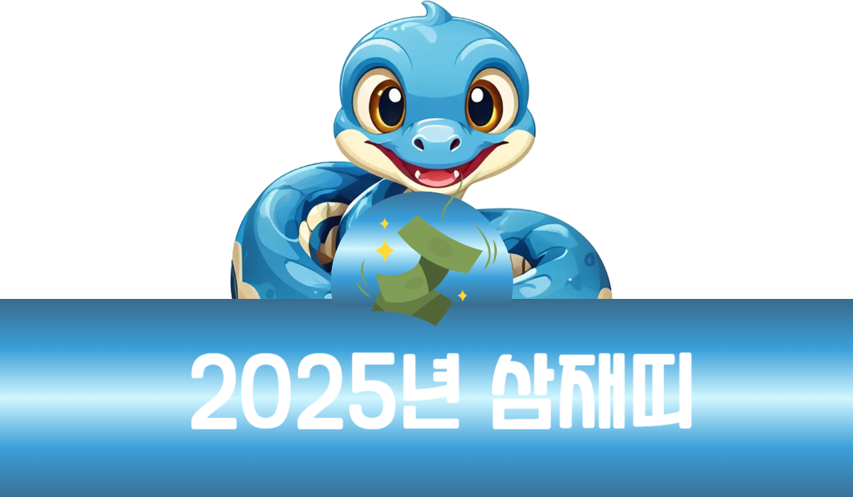 2025년 삼재띠