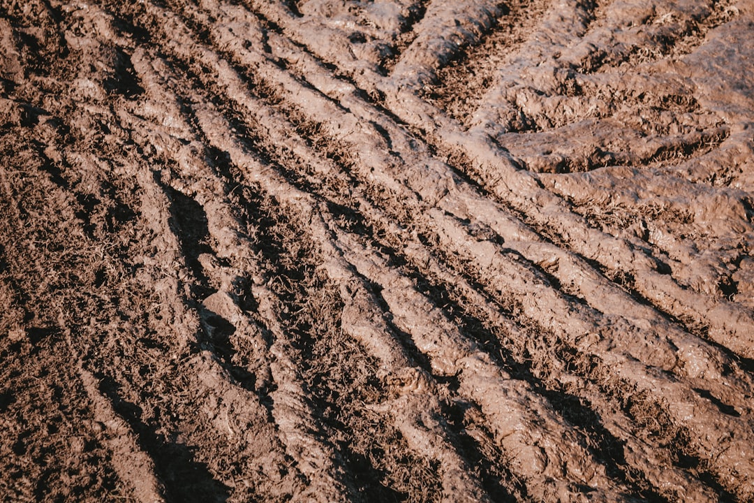 Mud