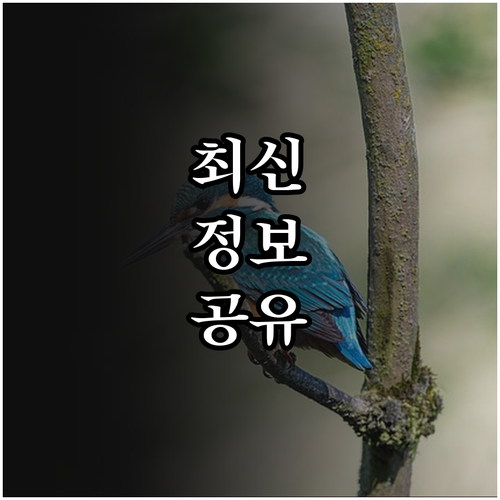 2025 이동지원 서비스 누가 이용할..
