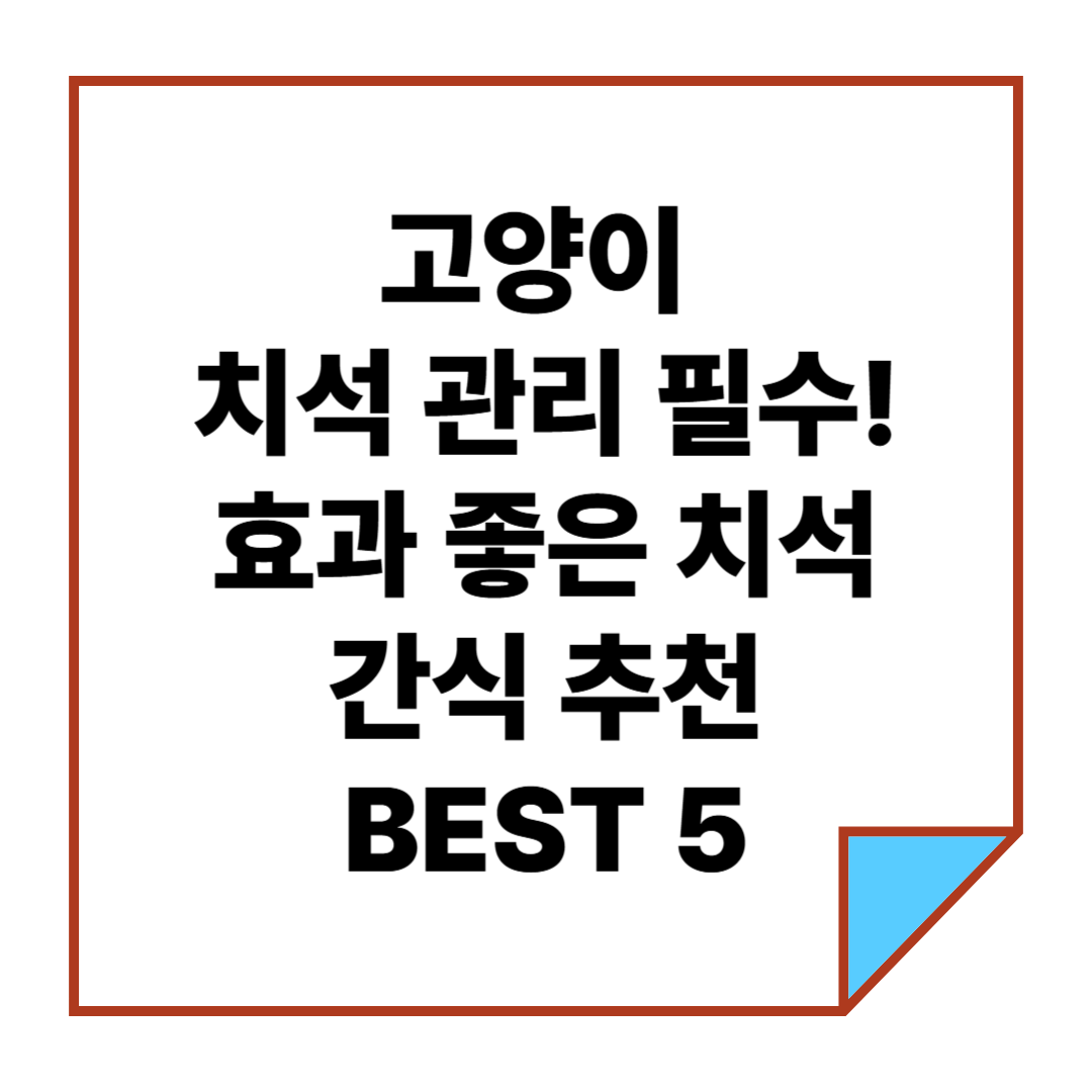 고양이 치석 관리 필수! 효과 좋은 치석 간식 추천 BEST 5
