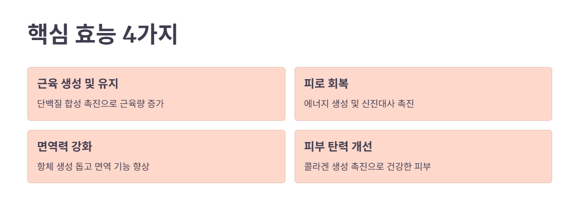 마시는 알부민 핵심 효능 4가지
