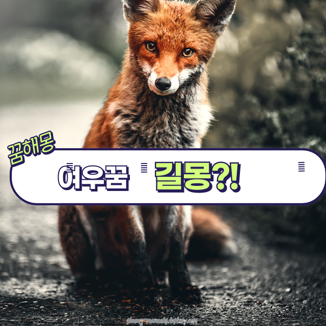 🦊봄날 여우꿈 해몽 20가지|재물·태몽·건강·분쟁·일·인간관계 운세 총정리