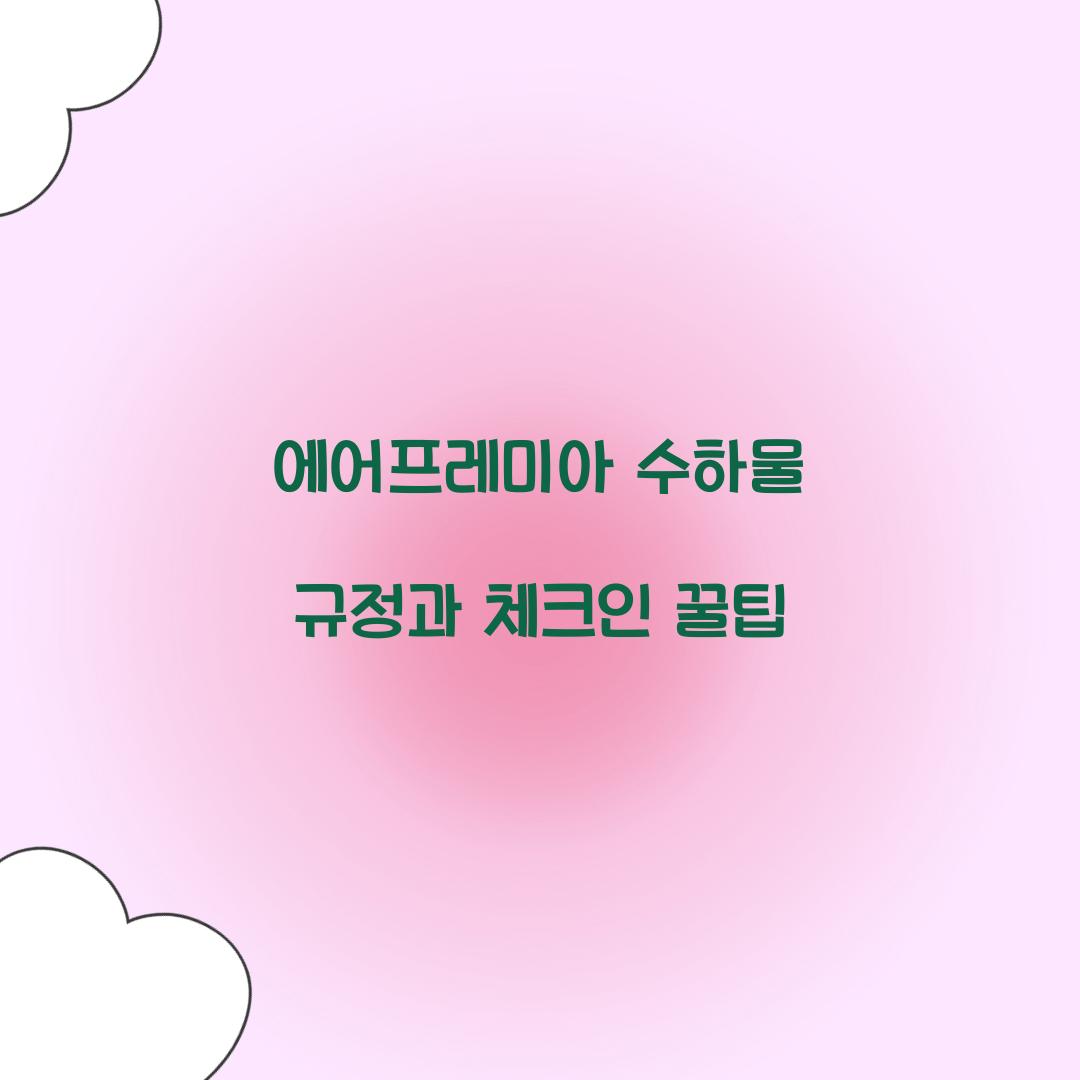 에어프레미아 수하물