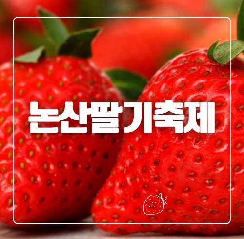 2025 논산딸기축제 장소 일정 주차 셔틀버스