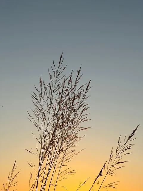 한여름 인사말 예시 모음 카톡_6