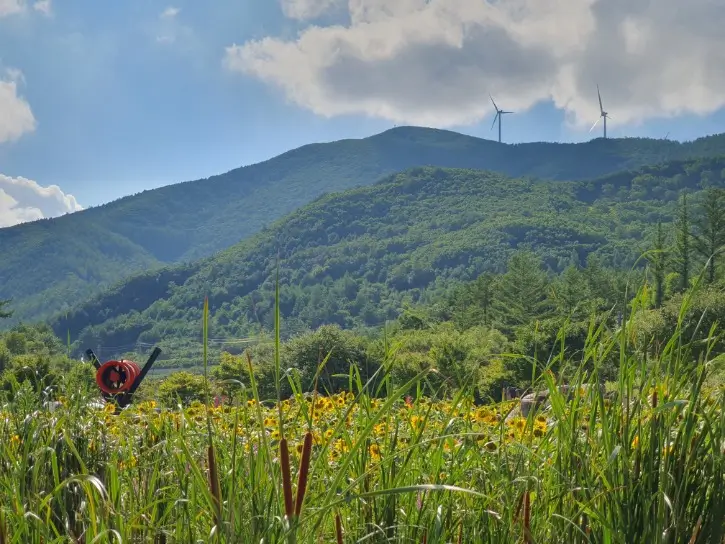 QpSy9Xpv1yMa6BaiYrWKiHtuy