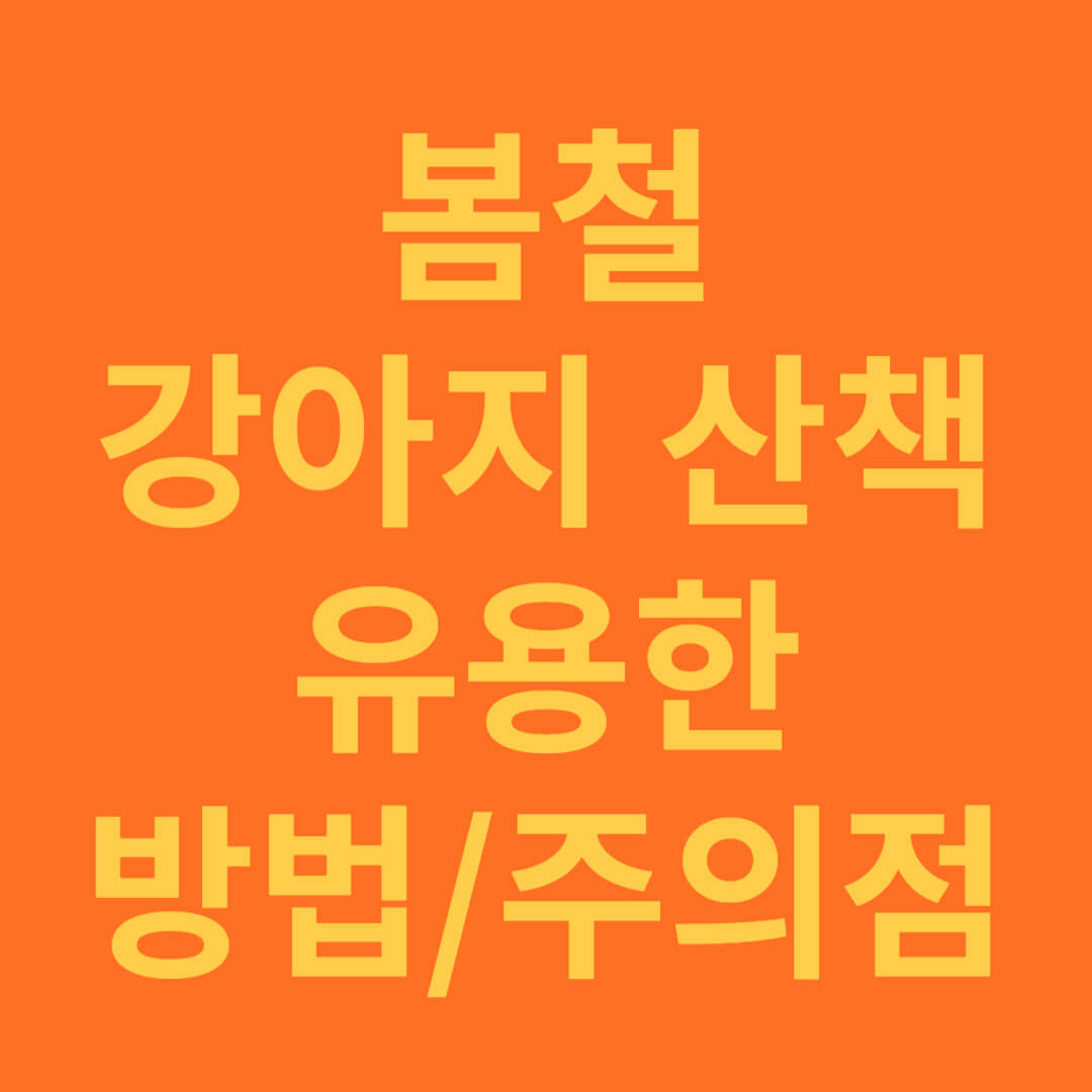 봄철 강아지 산책 방법과 주의할 점 및 추가적인 팁