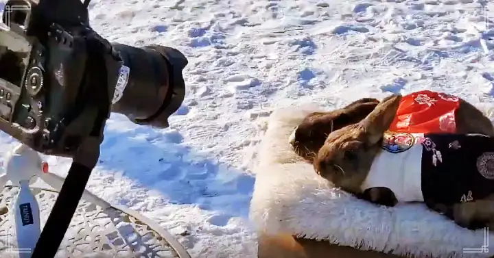 생방송오늘저녁 서울 근교 남양주 별내 토끼 고양이 강아지 뛰어노는 동물 체험 카페 맛집 추천