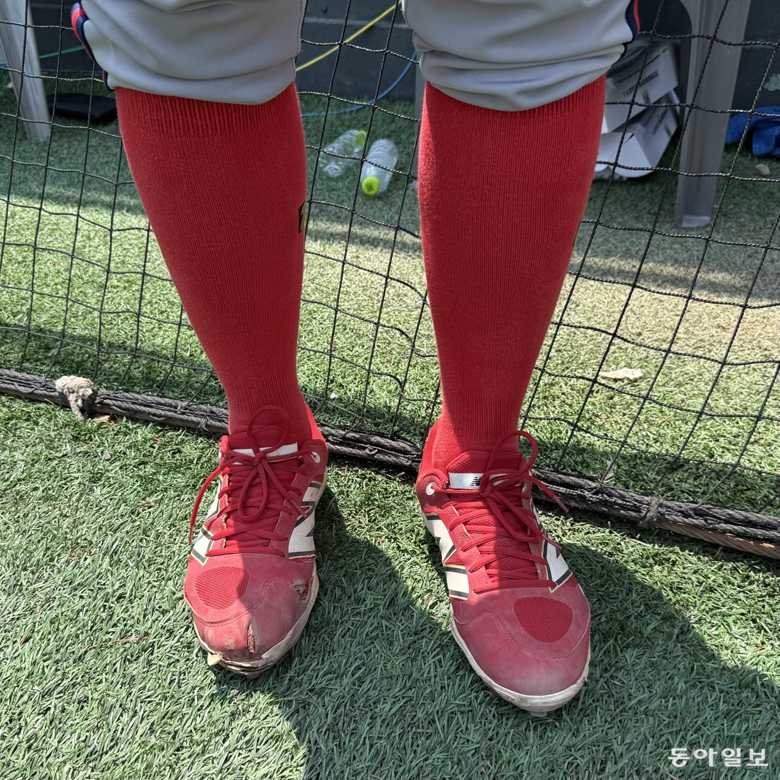 황금사자기 전국고교야구대회 일정 기본정보 대진표 준결승 결승: 충암고 김지율 20.1이닝 무실점 역투! 4강 진출과 투구수 제한의 빛과 그림자