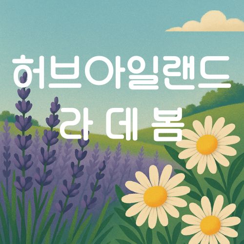 라벤더+데이지+힐링 체험! 허브아일랜드 라 데 봄 축제 완벽 가이드
