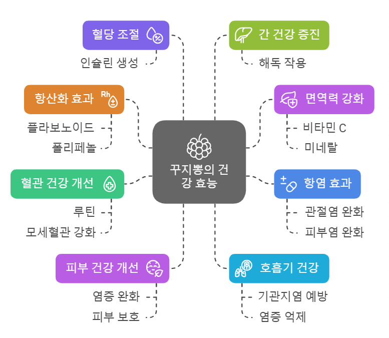 꾸지뽕 효능