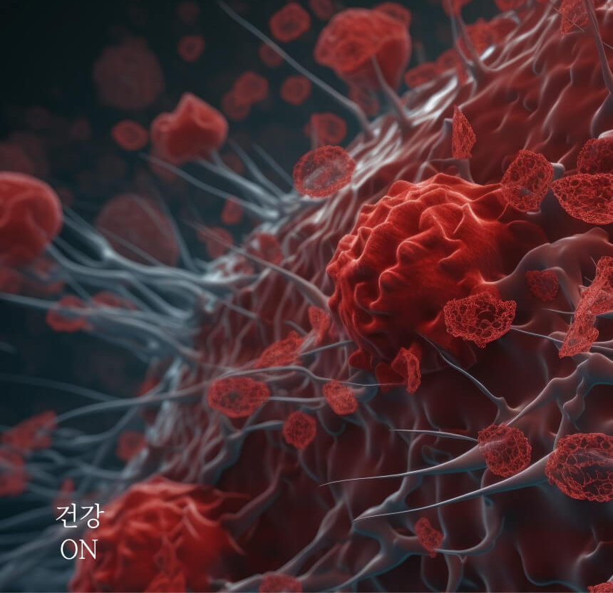 감각계 감염용어