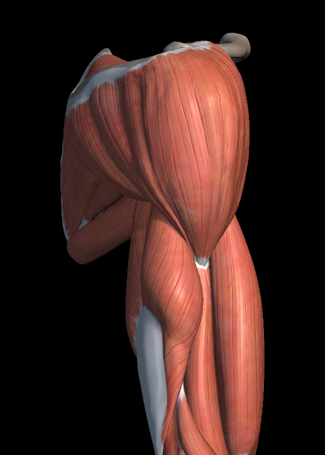 어깨 회전근개 파열 증상 원인 치료법
