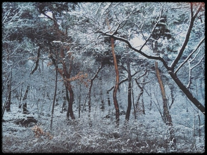 국내 겨울 설경 여행지 Best 10: 눈 덮인 명소와 일출&middot;일몰 스팟