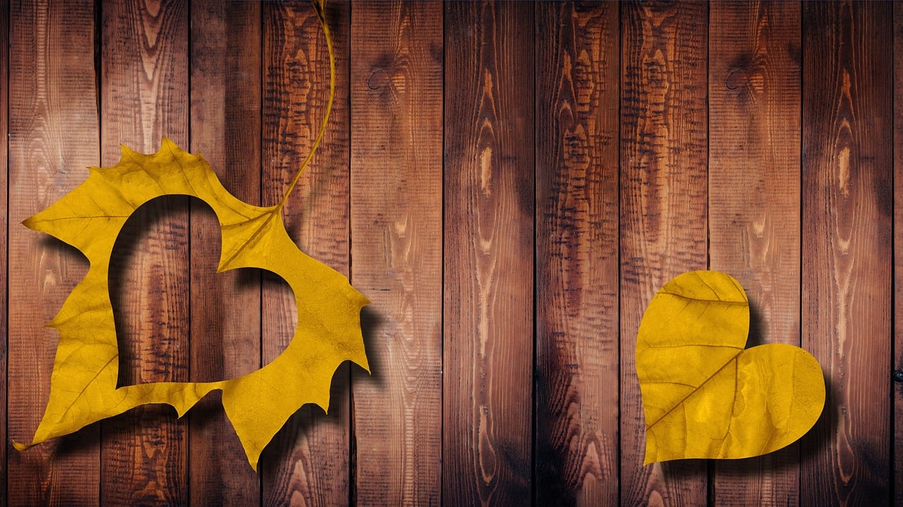 거절, 작아지는 마음 관련 이미지