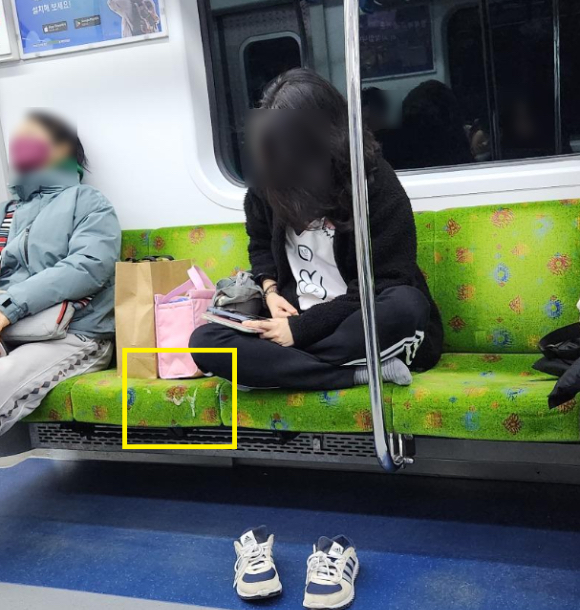 지하철 내에서 양반다리를 하고 앉아 손으로 코를 푼 뒤 손에 묻은 콧물을 의자에 닦은 여성의 모습이 공개돼 누리꾼들의 뭇매를 맞고 있다. [사진=온라인 커뮤니티]