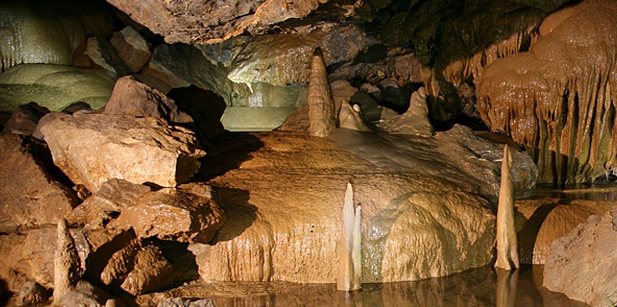 삼척 대금굴 예약 방법