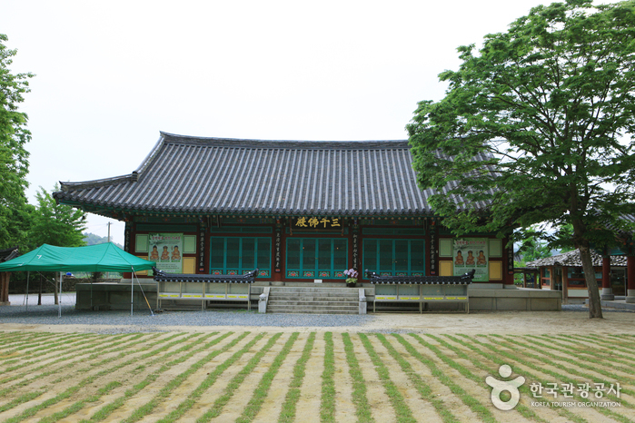 칠곡 가볼만한곳 베스트10