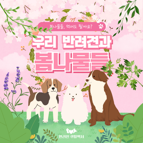 반려견과 봄나물