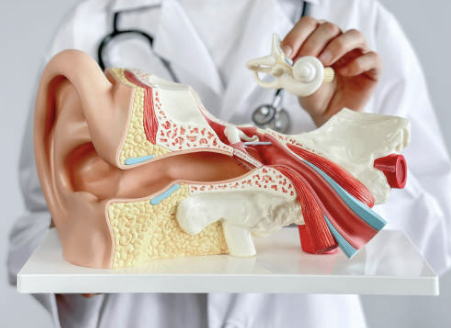 이석증 증상 원인 자가치료법 치료 등 총정리 (24년 Ver)