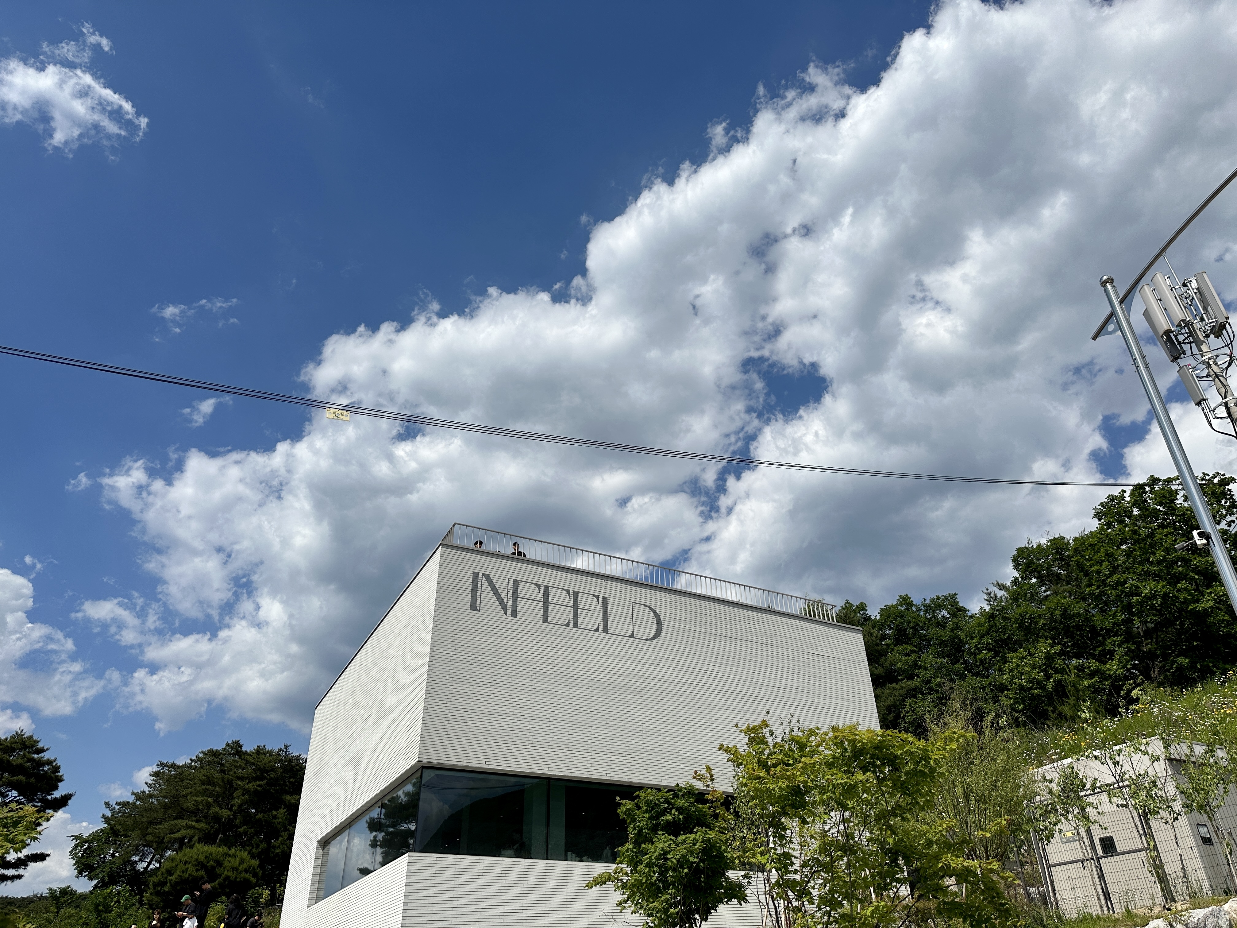 손흥민 카페 인필드