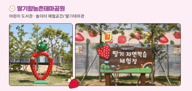 논산 딸기축제 일정