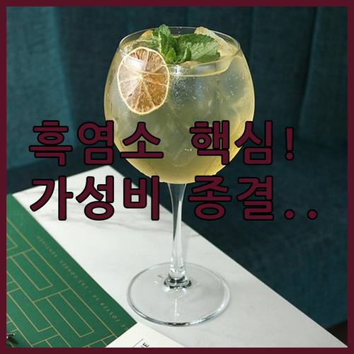 이경제 황금이네 흑염소 진액 가성비 ..