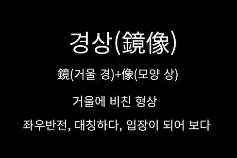 경상 鏡像, 거울에 비친 형상, 좌우반전, 대칭하다, 입장이 되어 보다