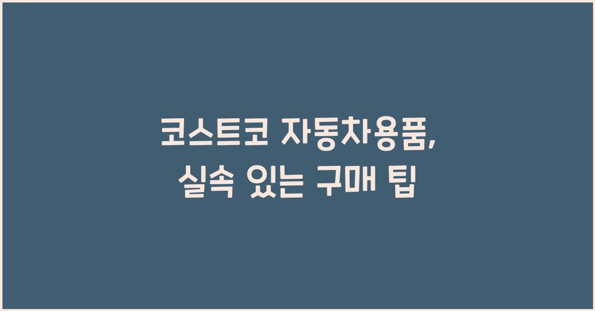 코스트코 자동차용품