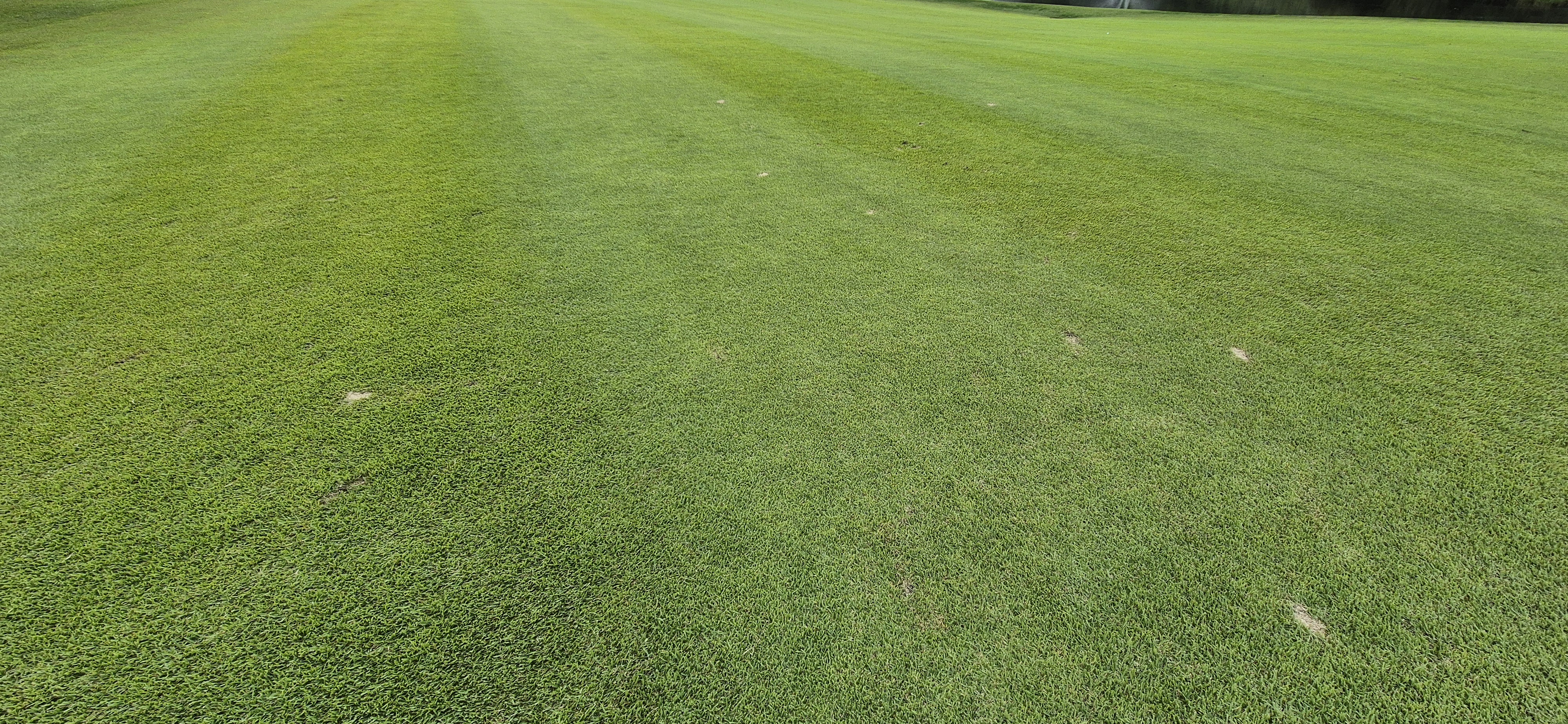 소노팰리체cc이스트