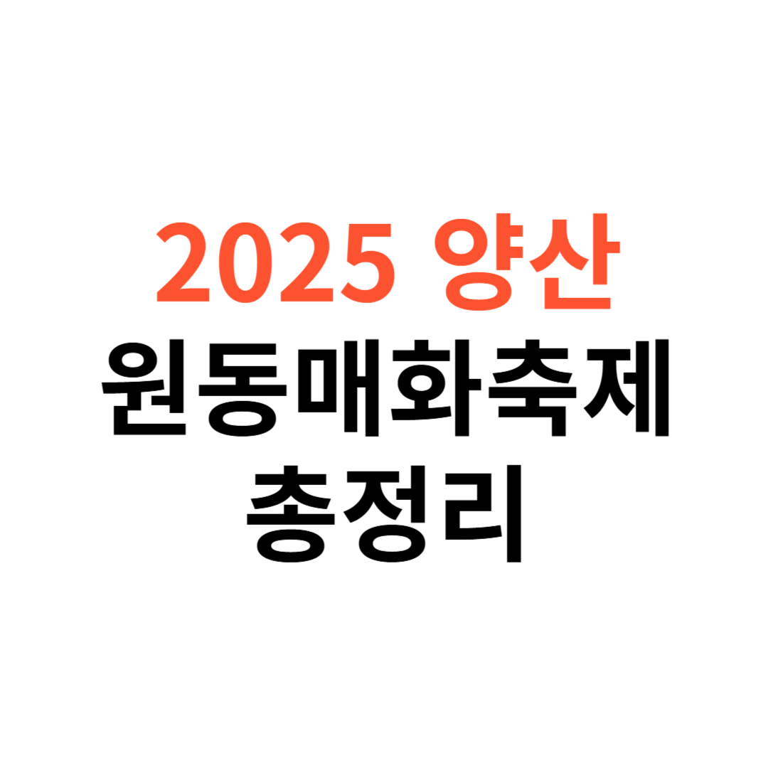 양산 원동매화축제