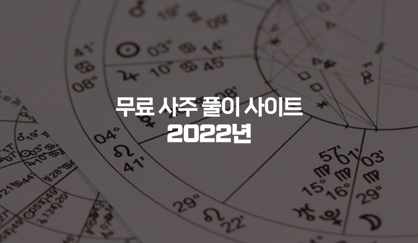 무료 사주 풀이 사이트 2022년