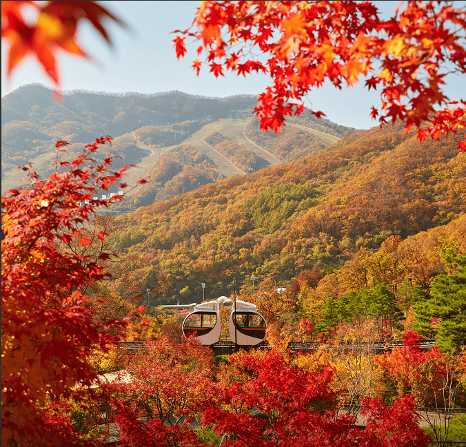 화담숲 예약 방법