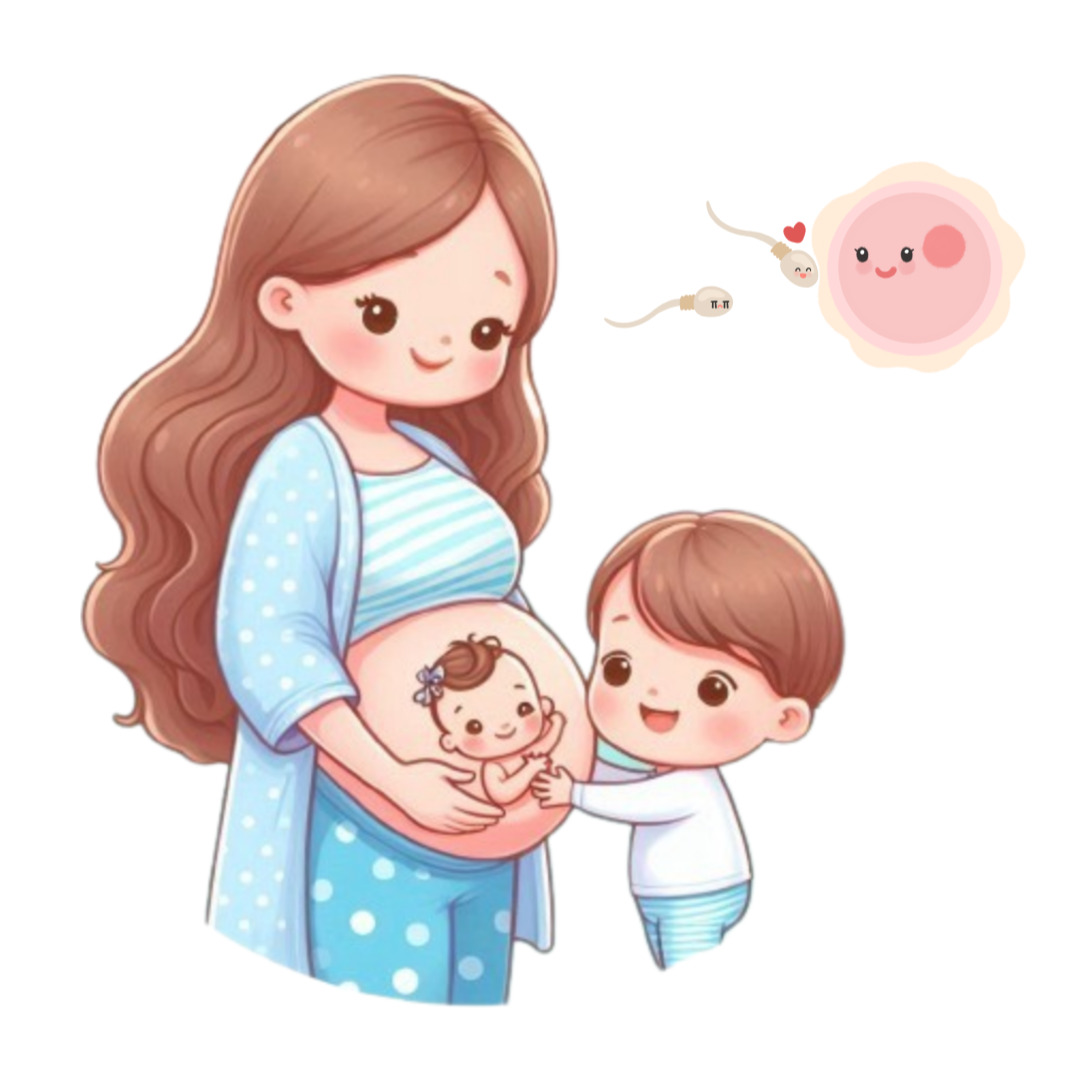 연령에-맞는-성교육-자료를-활용합니다.