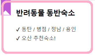 오산시 동탄 반려견 동반숙소