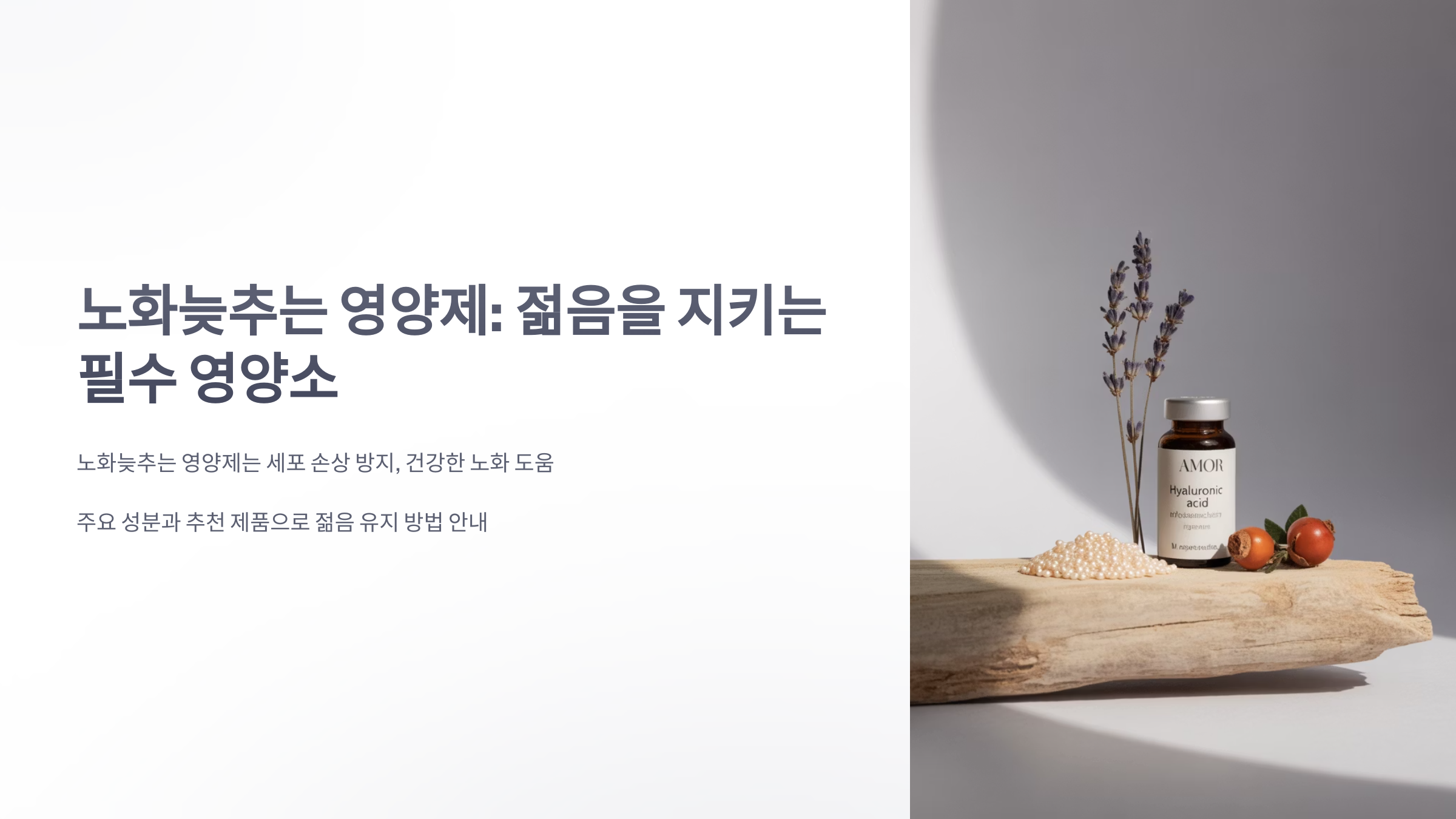 참조-노화늦추는-영양제-1