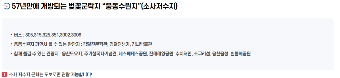 진해 군항제 행사 일정 및 상세 정보 총정리