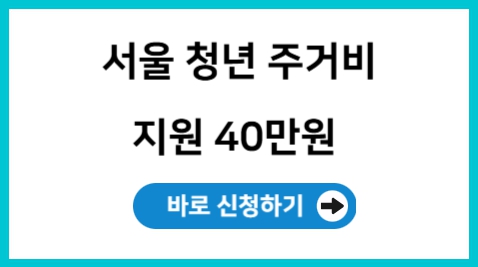 2025년 서울 청년 주거비 지원