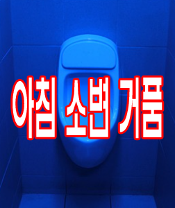 아침 소변 거품